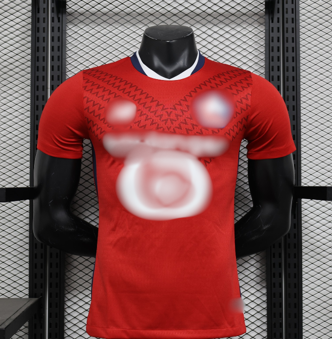 Γαλλικό Πρωτάθλημα Ποδοσφαίρου Custom #PAGE 2