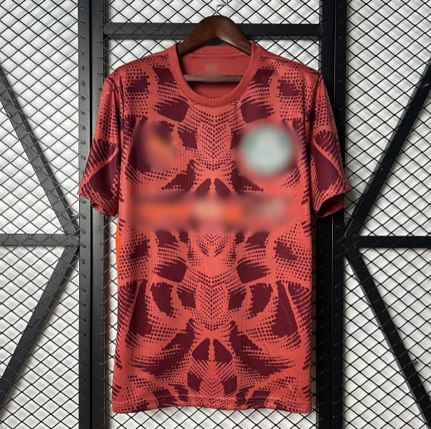 Πρωτάθλημα Βραζιλίας Custom 22