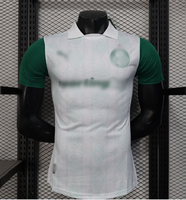 Πρωτάθλημα Βραζιλίας Custom 24