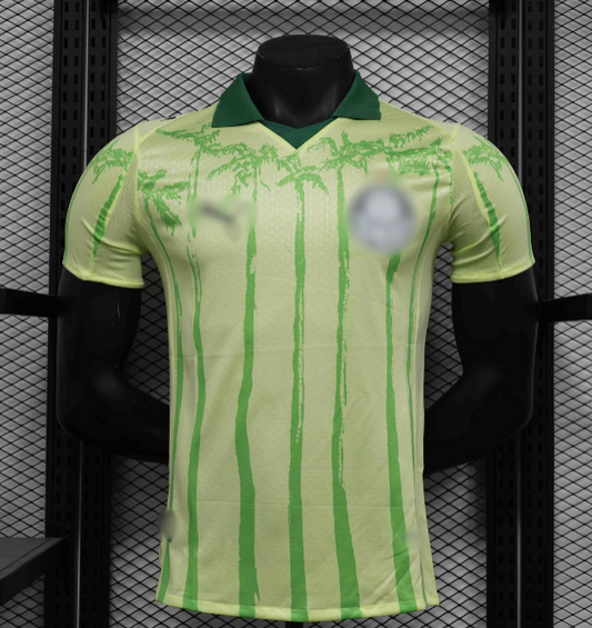Πρωτάθλημα Βραζιλίας Custom 2