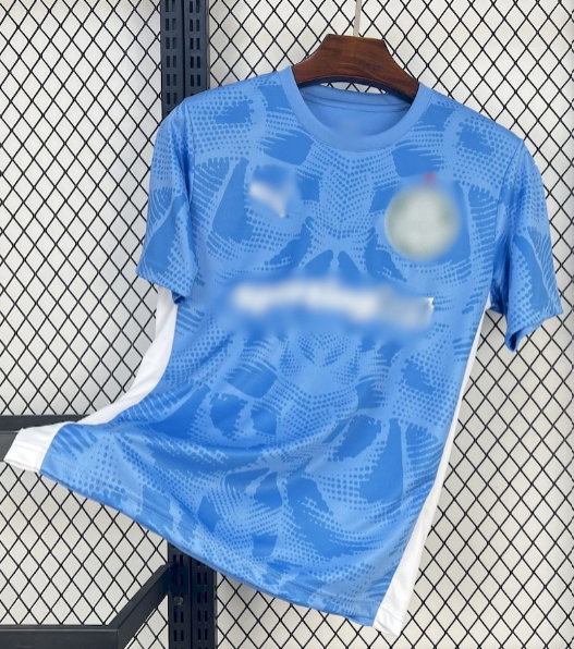 Πρωτάθλημα Βραζιλίας Custom 12
