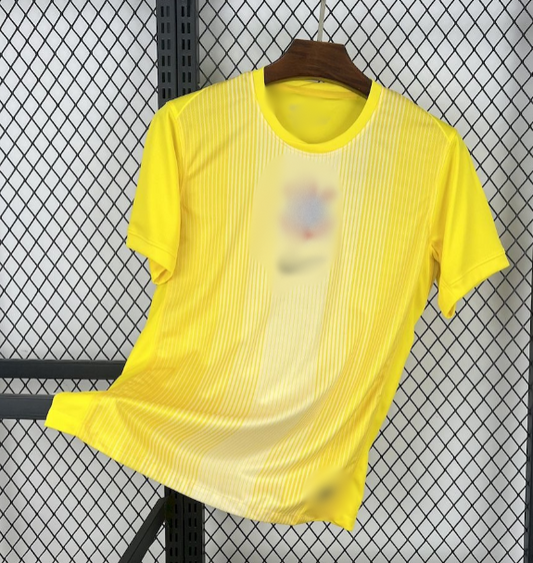 Πρωτάθλημα Βραζιλίας Custom 38