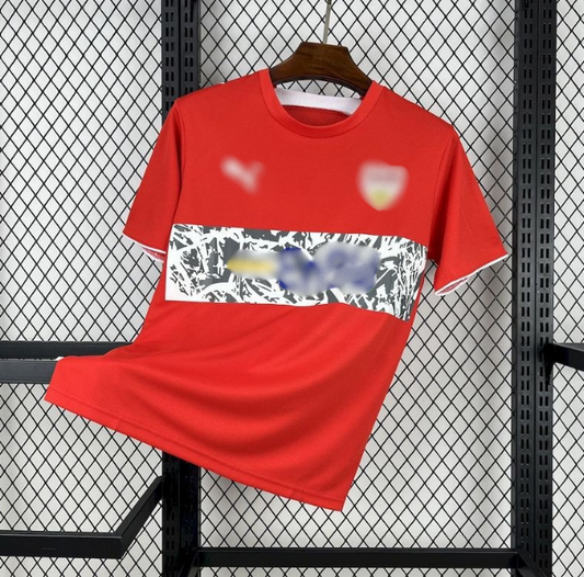 Φανέλα ΓΕΡΜΑΝΙΑ 29 Custom