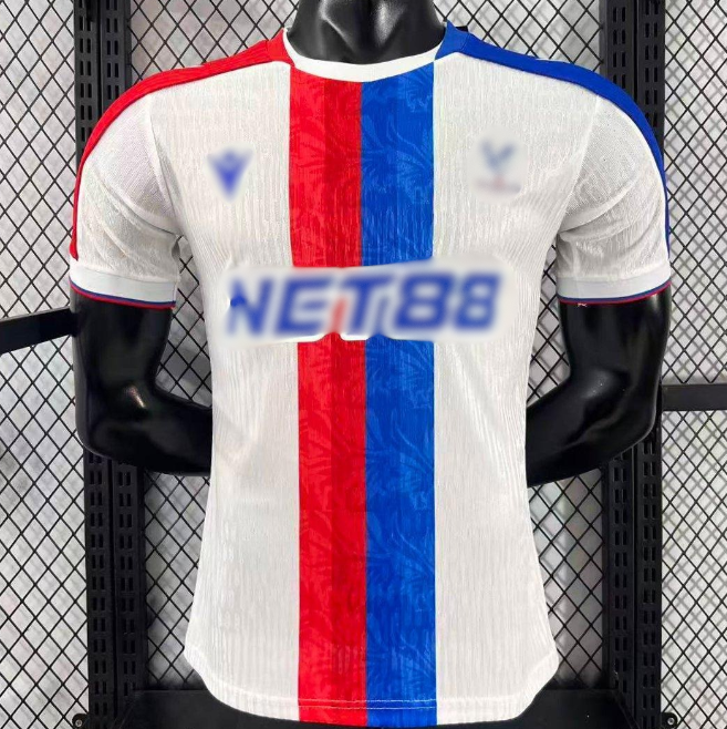 Φανέλα ΠΑΛΑΣ Custom