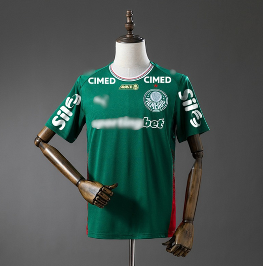 Παλμέιρας 1 Custom 2026