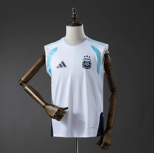 Αργεντινή Αμάνικη Mundial 2026 Custom