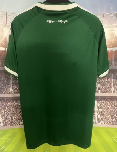 ☘️(Pre Order) Παναθηναϊκός Εντός 2026/27 Custom